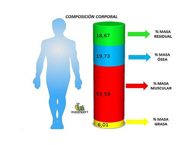 Jimdrick Matiegka y los métodos de fraccionamiento anatómico