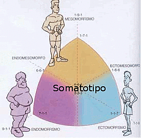 Perfeccionamiento del fraccionamiento de cinco componentes