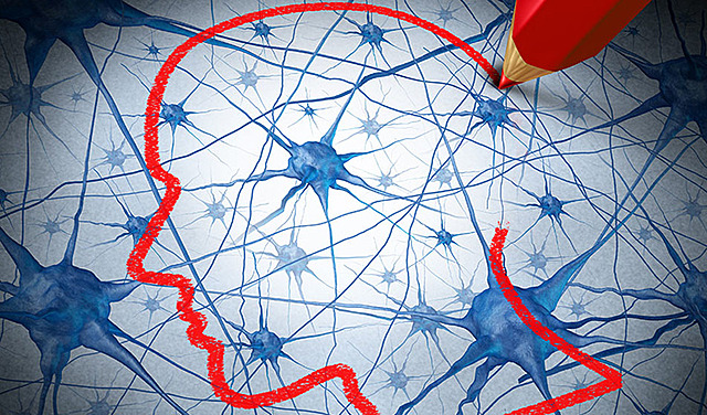 Surgimiento del sistema nervioso