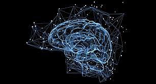 Surgimiento del primer cerebro