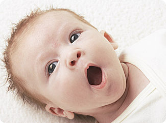 Most of our group are born on the year