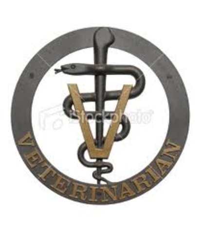 He achieved his Doctorate in Veterinary Medicine, 1923,