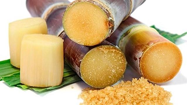 Sugarcane