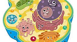 Timeline: LA CÉLULA Y SUS CARACTERÍSTICAS