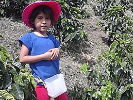 Mi vida después de un plato de sopa