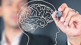 Timeline: Emprendimiento