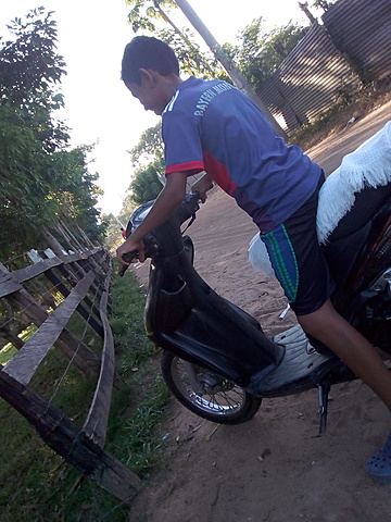 My first photo in the story plant