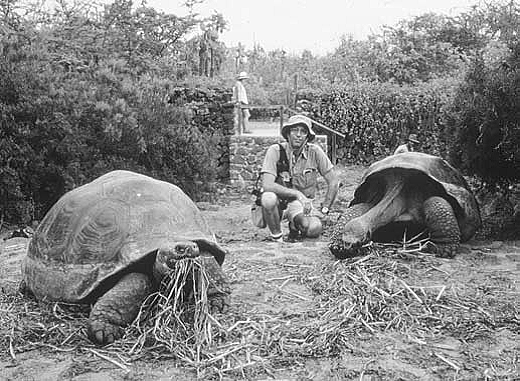 Galapagos Island discoveries