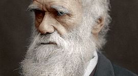 Timeline: Charels Darwin (February 12th 1809- April 10th 1882)