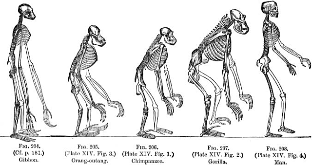 The Origin of Species