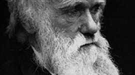 Timeline: Charles Darwin (12 February 1809- 19 April 1882)