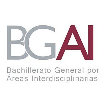 Timeline: Responsabilidades del asesor BGAI