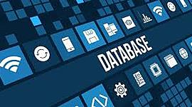 Timeline: BASES DE DATOS