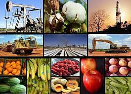 Modelo de sustitución de importaciones