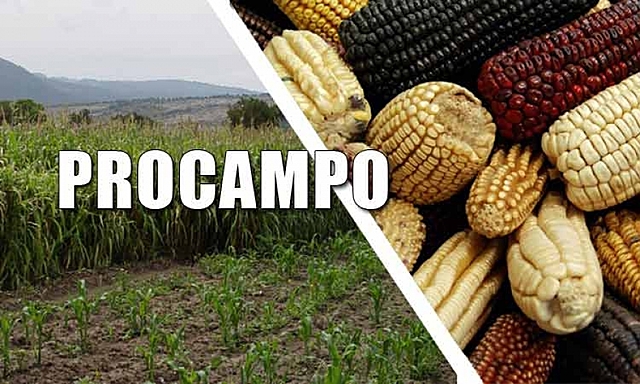 PROCAMPO
