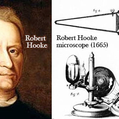 Timeline: 1665 Robert Hooke. Construyó su propio miscrocopinión de 50 aumentos que permitió descubrir la célula en láminas de corcho.