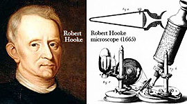 Timeline: 1665 Robert Hooke. Construyó su propio miscrocopinión de 50 aumentos que permitió descubrir la célula en láminas de corcho.