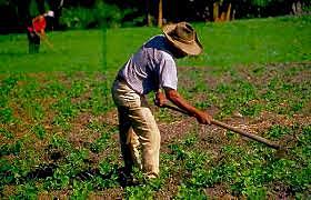 Derechos para los campesinos