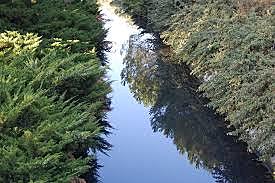Ordenanzas ante la contaminacion de los arroyos en inglaterra