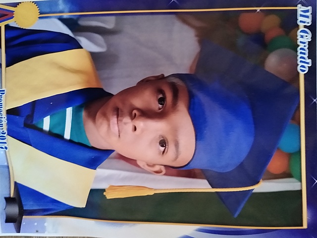 Final degree computer