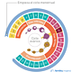Infografia ciclo menstrual