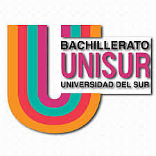 La UNISUR
