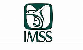 Creación del IMSS