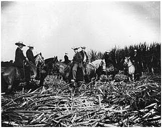 Incremento de la producción agrícola