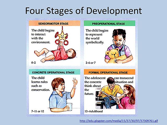 Stages of Cognitive Development