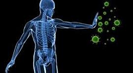 Timeline: Proceso salud-enfermedad