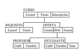 bases de datos de red y las bases de datos jerárquicas