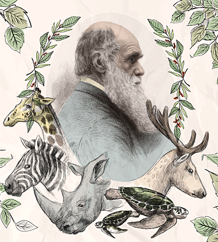 La Teoría de la selección natural