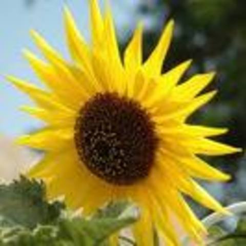 My first costume party