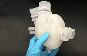 CIRUGIAS DE AVANZADA