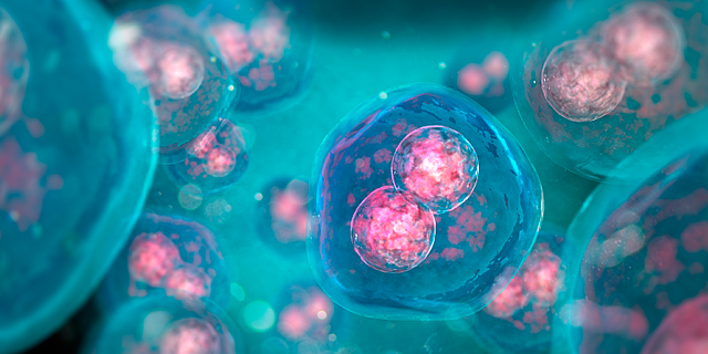 Embriones artificiales