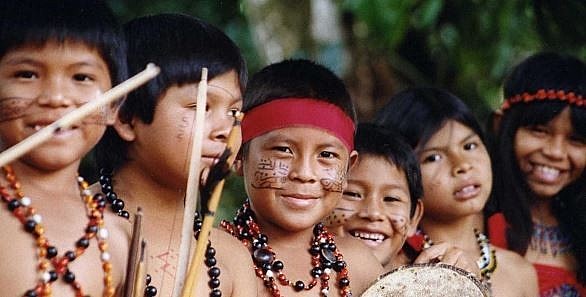 Diversidad biológica