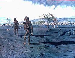 Huellas de Laetoli (1978) Evolución