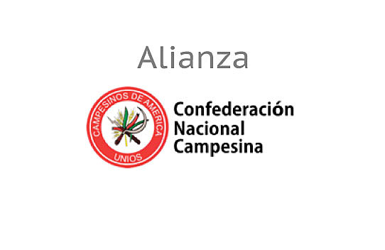 Instituto en el sector agrario en la confederación nacional campesina