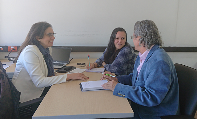 Reunión avance metodología proyecto.