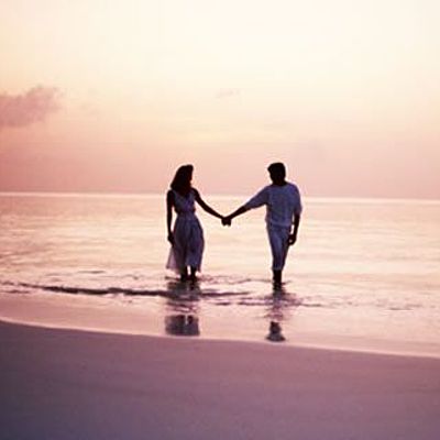 Timeline: historia de la Web