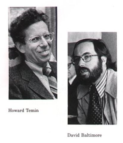 Howard Martin Temin  y David Baltimore