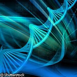 Algunos genes pueden saltar (1940) Genética