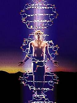 ADN es el material genético (1928, 1944, 1952) Genética