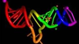 Timeline: Avances Cientificos y Tecnologicos antes de cristo