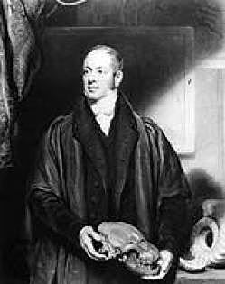 Los primeros fósiles de dinosaurios identificados (1820 - 1840) Evolución