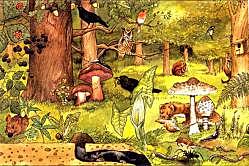 El ecosistema (1935) Biología