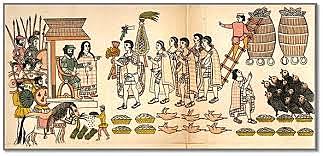 Introducción de nuevas especies.