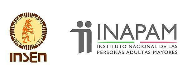 INSTITUTO NACIONAL DE LA SENECTUD (INSEN)