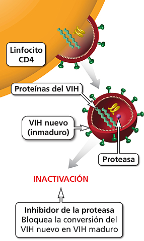 Creació de l'ONUSIDA