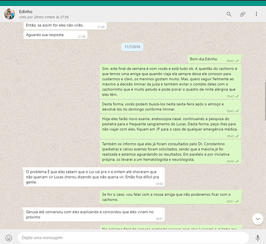 Visita quinzenal - final de semana (liminar)